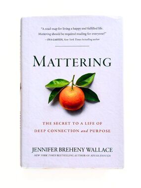 HARDCOVER Self-Help Mental Health - Mattering by Jennifer Breheny Wallace - EUC